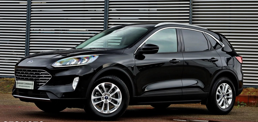 Ford Kuga cena 109900 przebieg: 10000, rok produkcji 2023 z Błonie małe 781